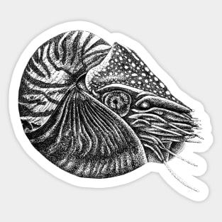 Nautilus fish Sticker